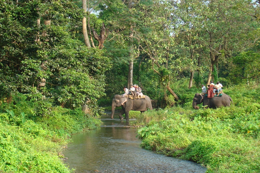 Travel to Jaldapara Wildlife Sanctuary